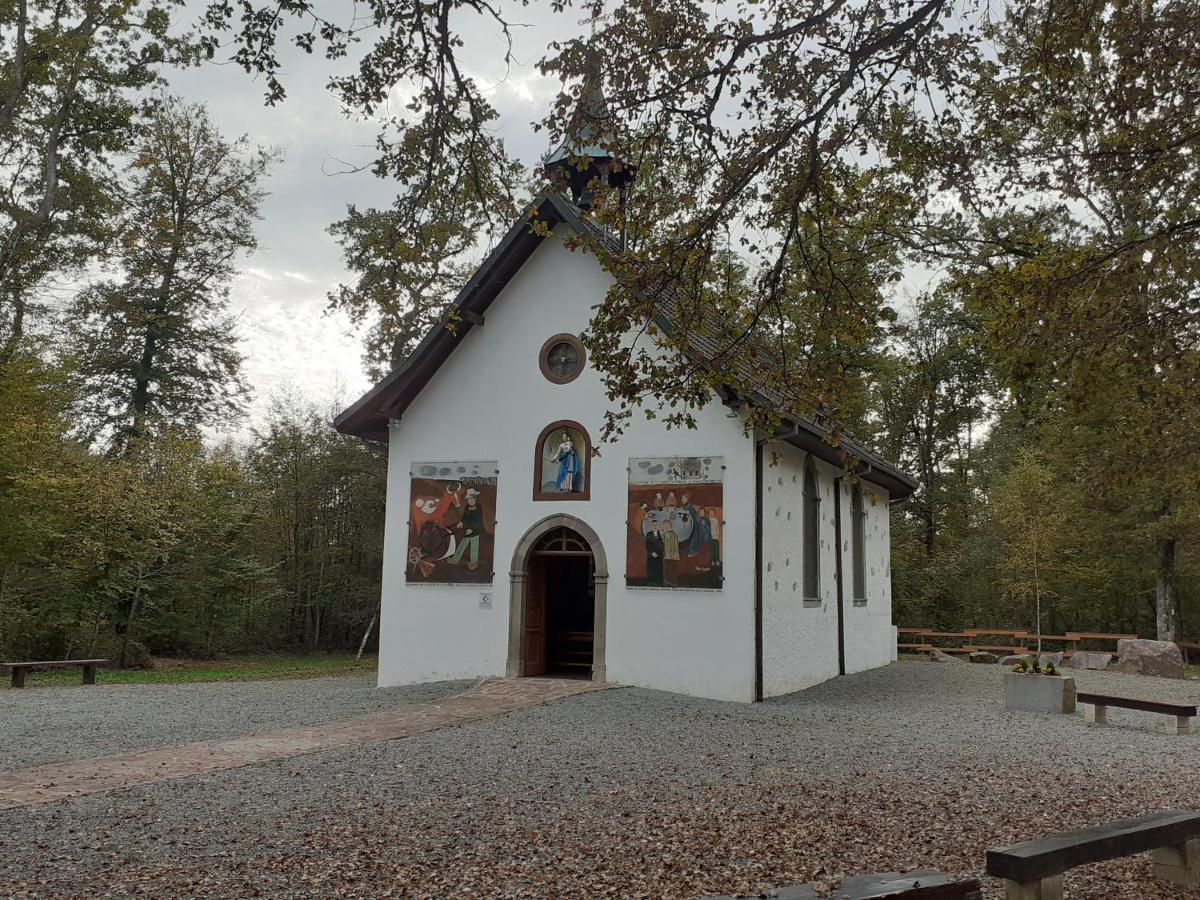 A L'orée Du Bois Appartamento Guewenheim