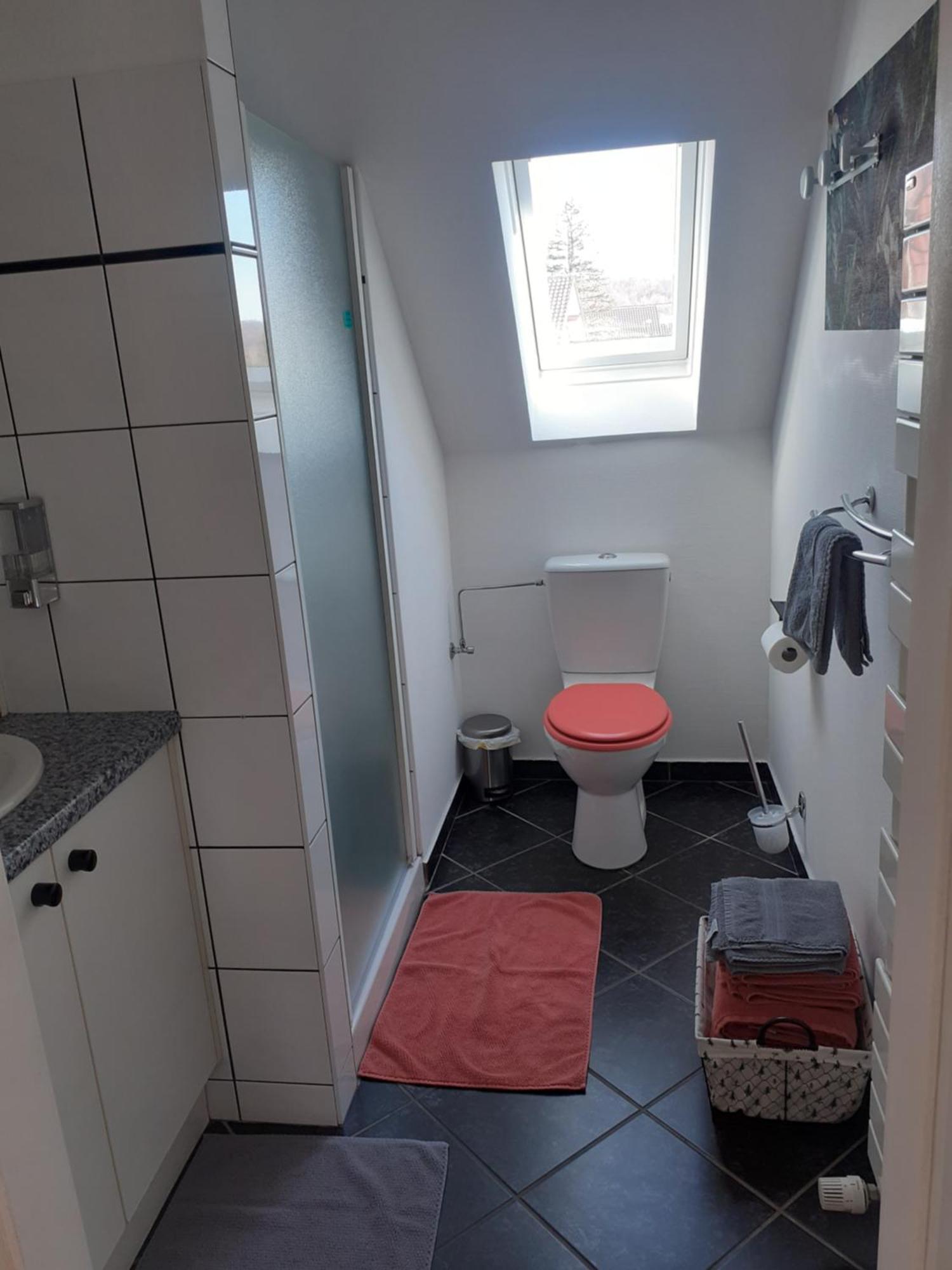 A L'oree Du Bois Les Bouleaux Guewenheim
