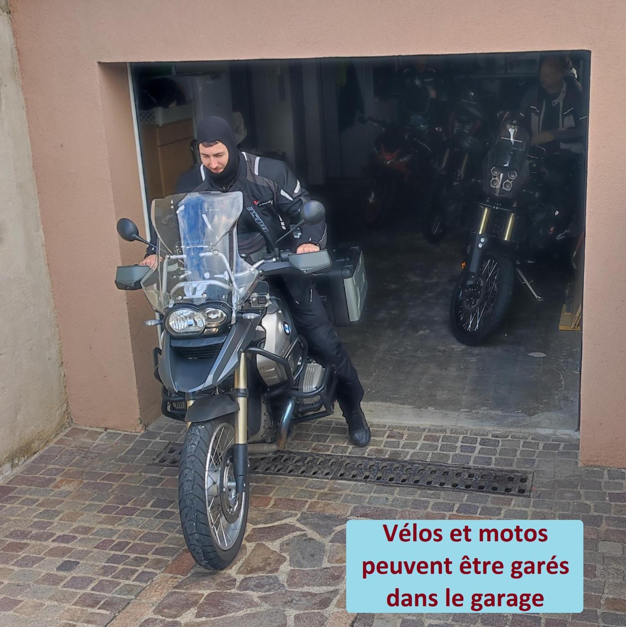 A L'oree Du Bois Les Bouleaux